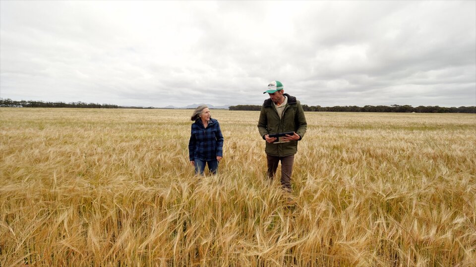 Lucy Anderton on the farm