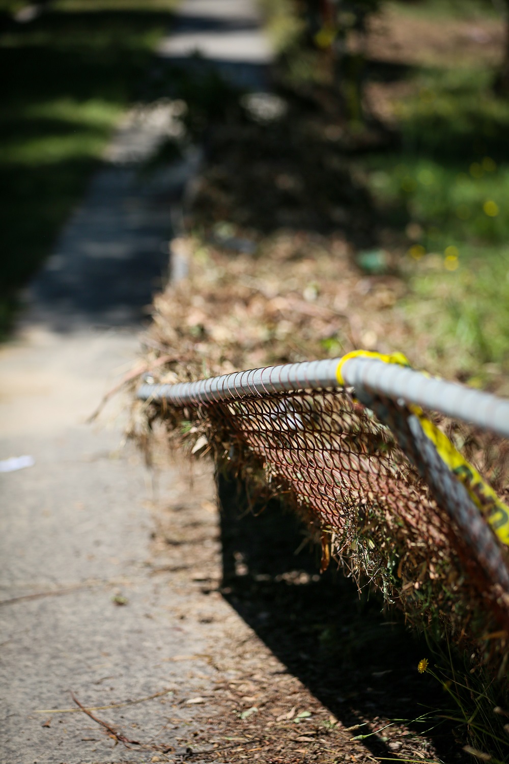Creswick Primary School fence