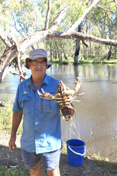 Duncan McLay with rescued crayfish