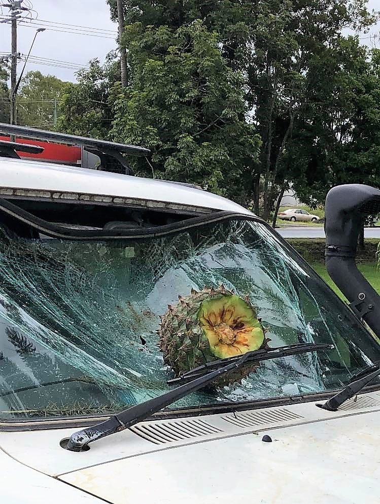 Windscreen damage Photo: Tad Langley