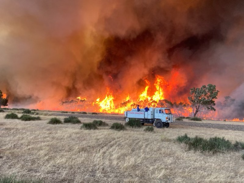 Lucindale fire