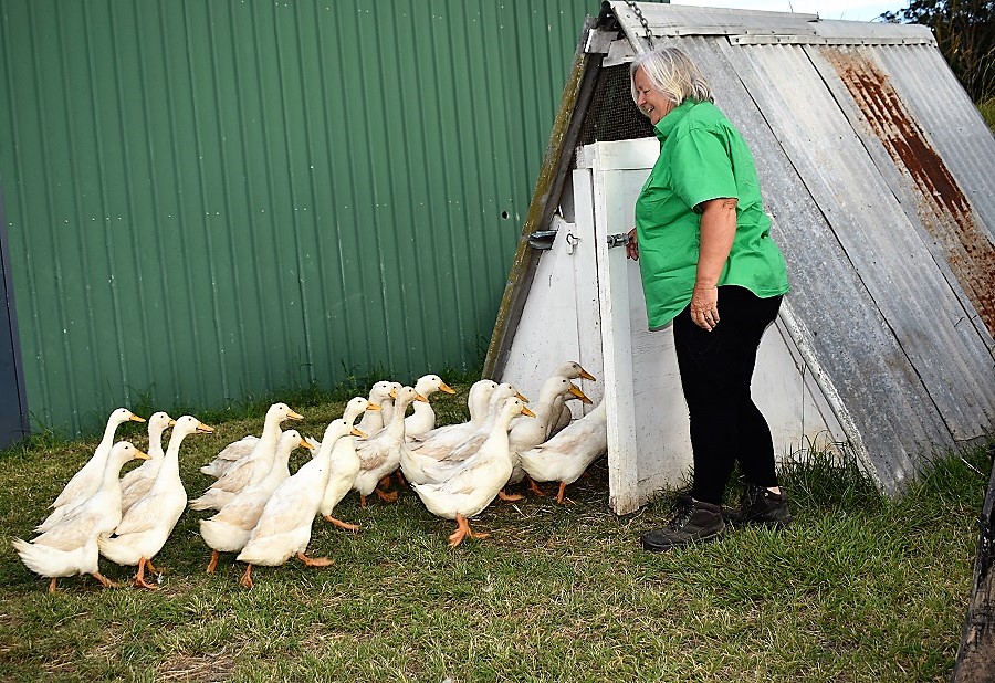 Nutshell Organic Farm