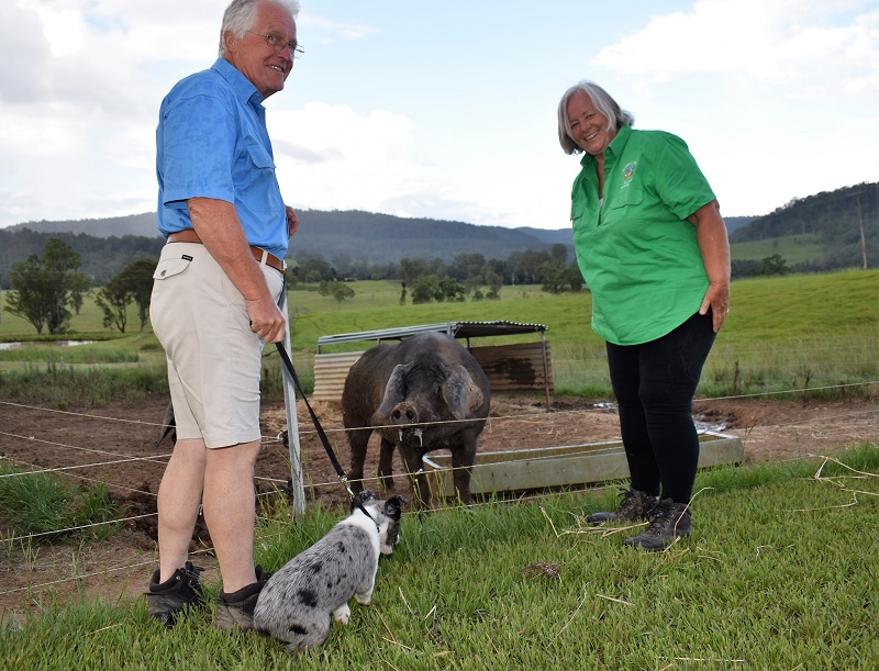 Nutshell Organic Farm