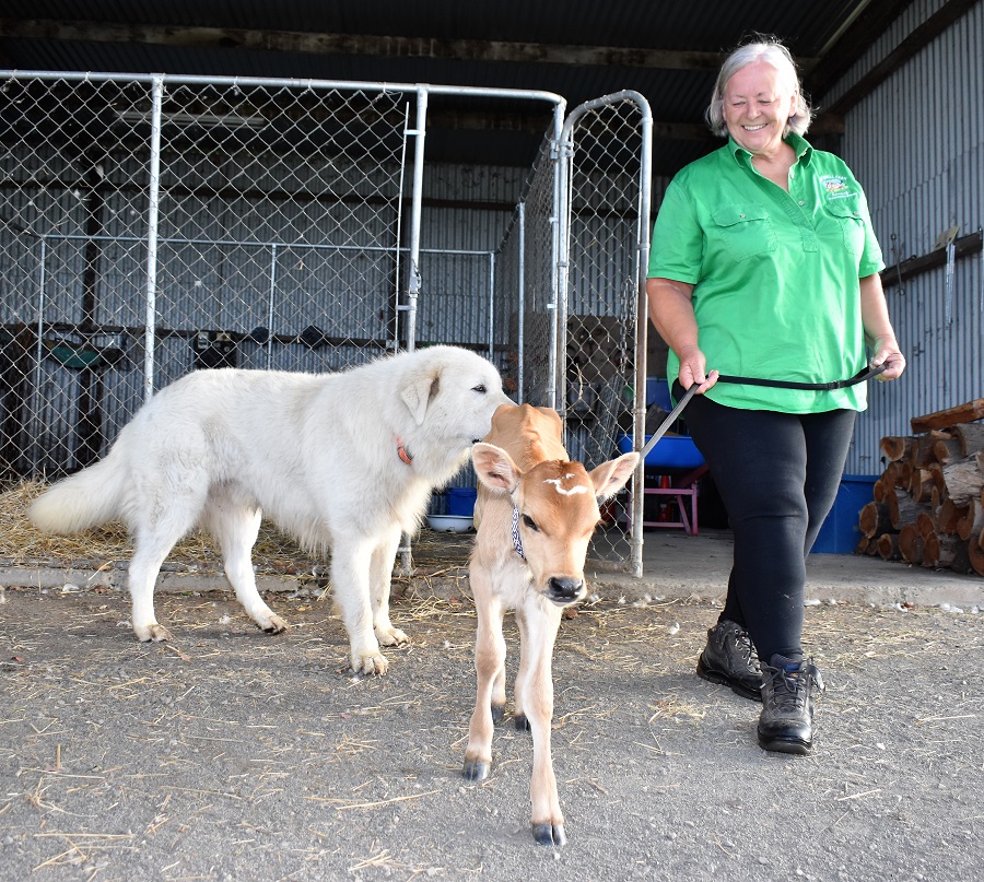 Nutshell Organic Farm