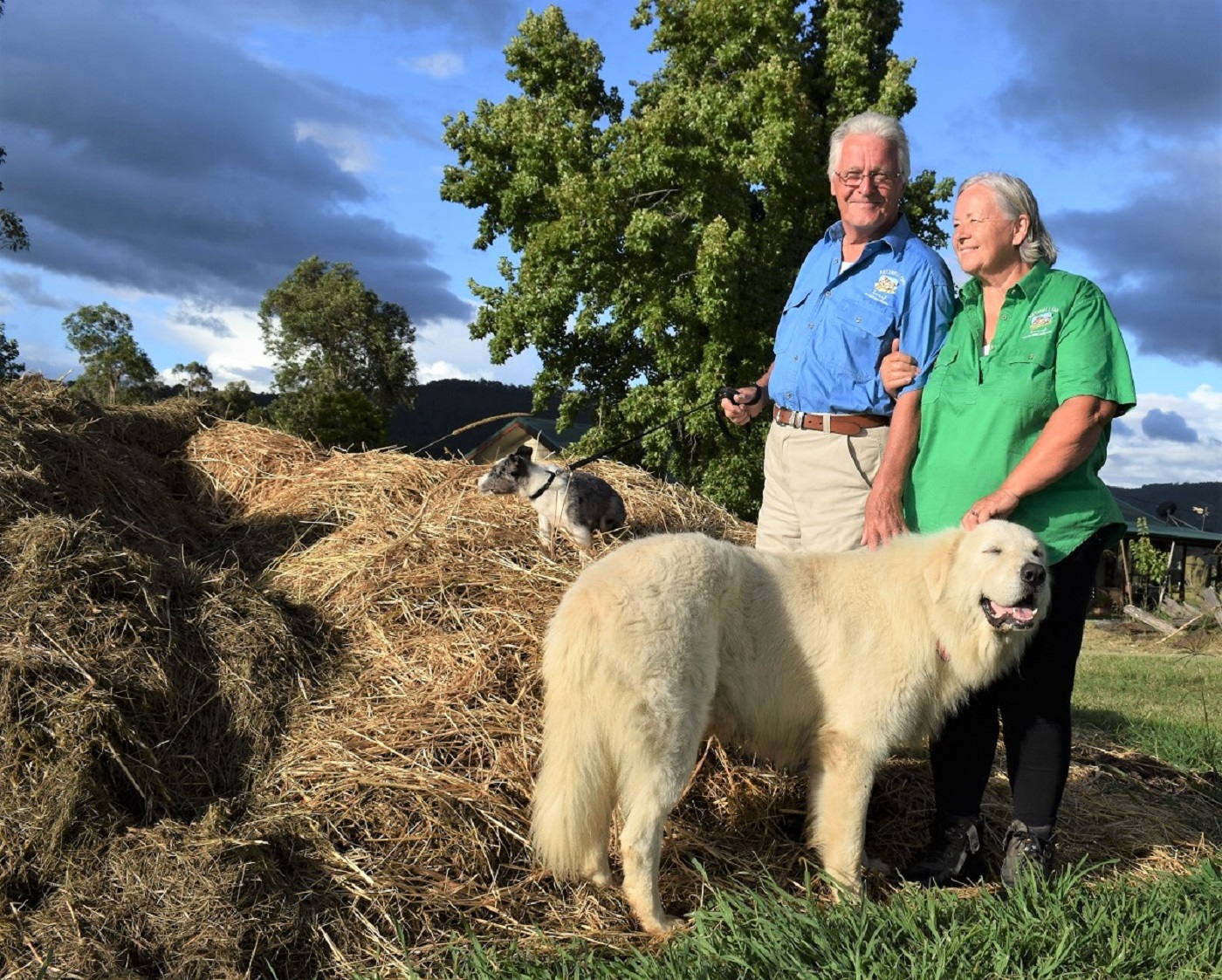 Nutshell Organic Farm at Peacock Creek