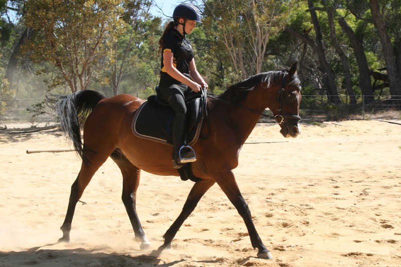 Chenin Hislop on Hero