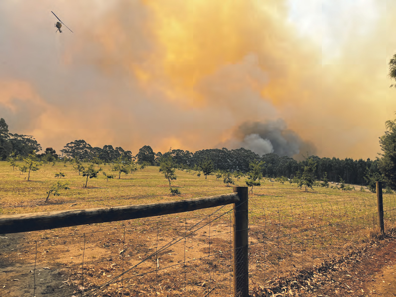 Fire front on Osborne Road