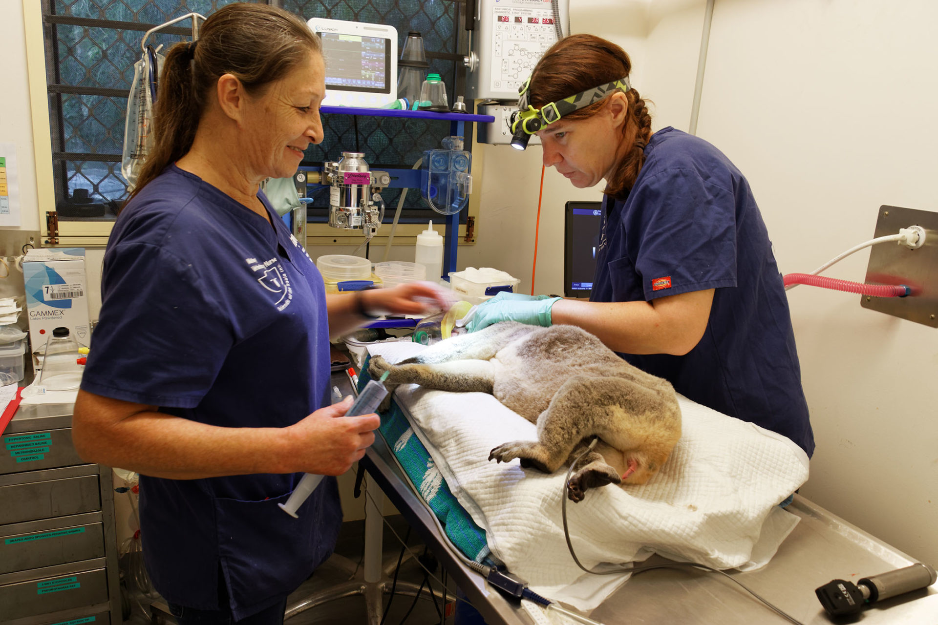 Jackie Marley and Eros