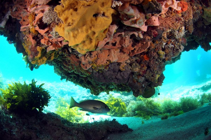 Marmion Marine Park expansion
