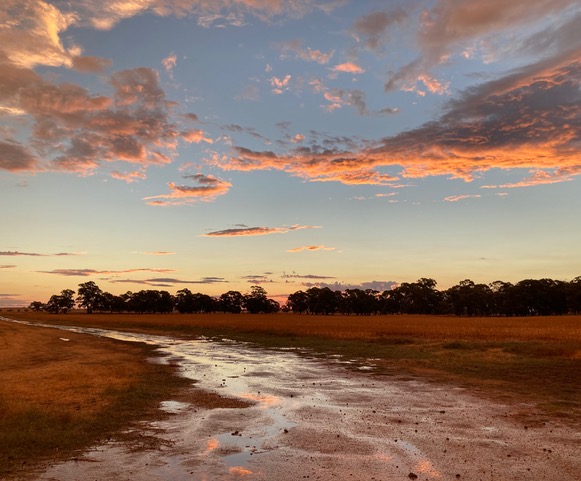 Photo by Julie Nixon