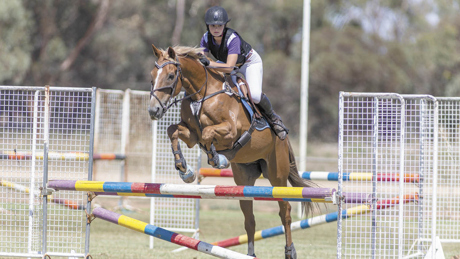 Wakool Show showjumping