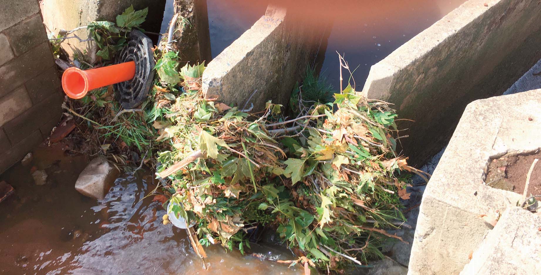 Blocked drains