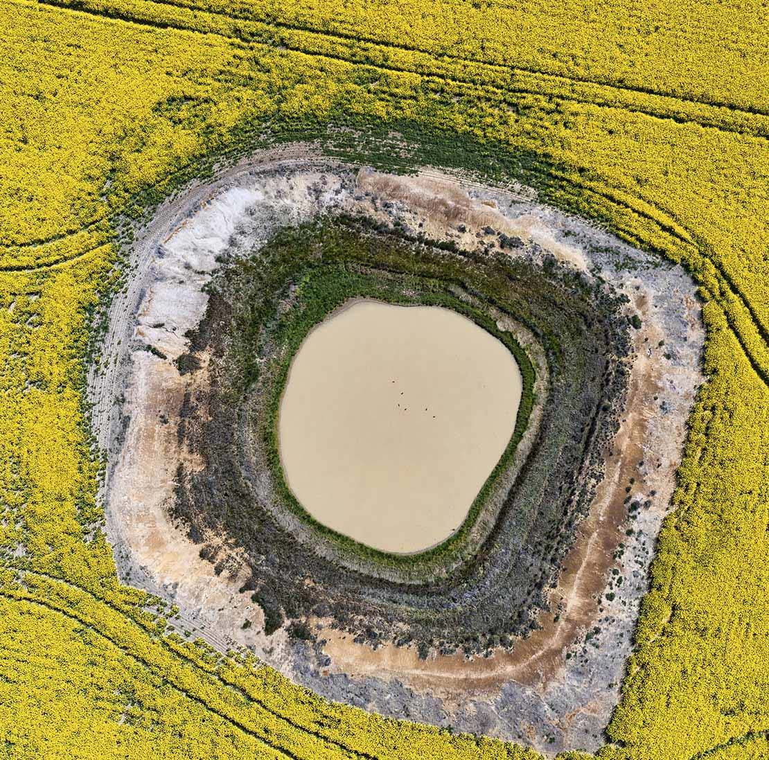 NFF report cover image