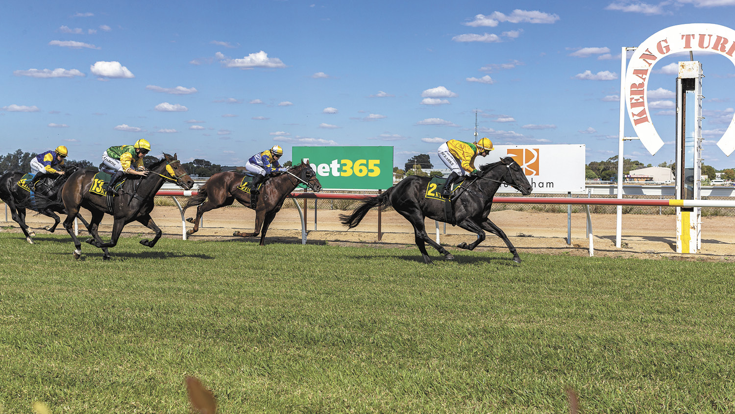 J & M Chaser Bins Maiden Plate