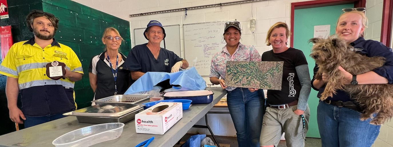 Barkly vets out bush