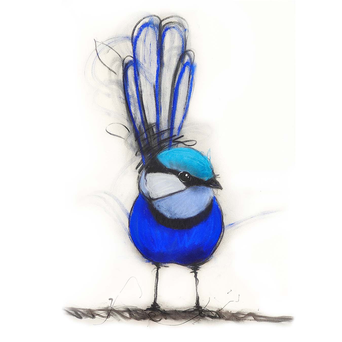 Blue Wren by Sobrane Simcock