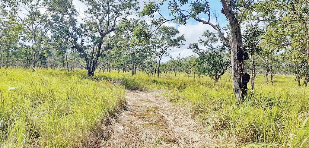 Bertiehaugh Road track