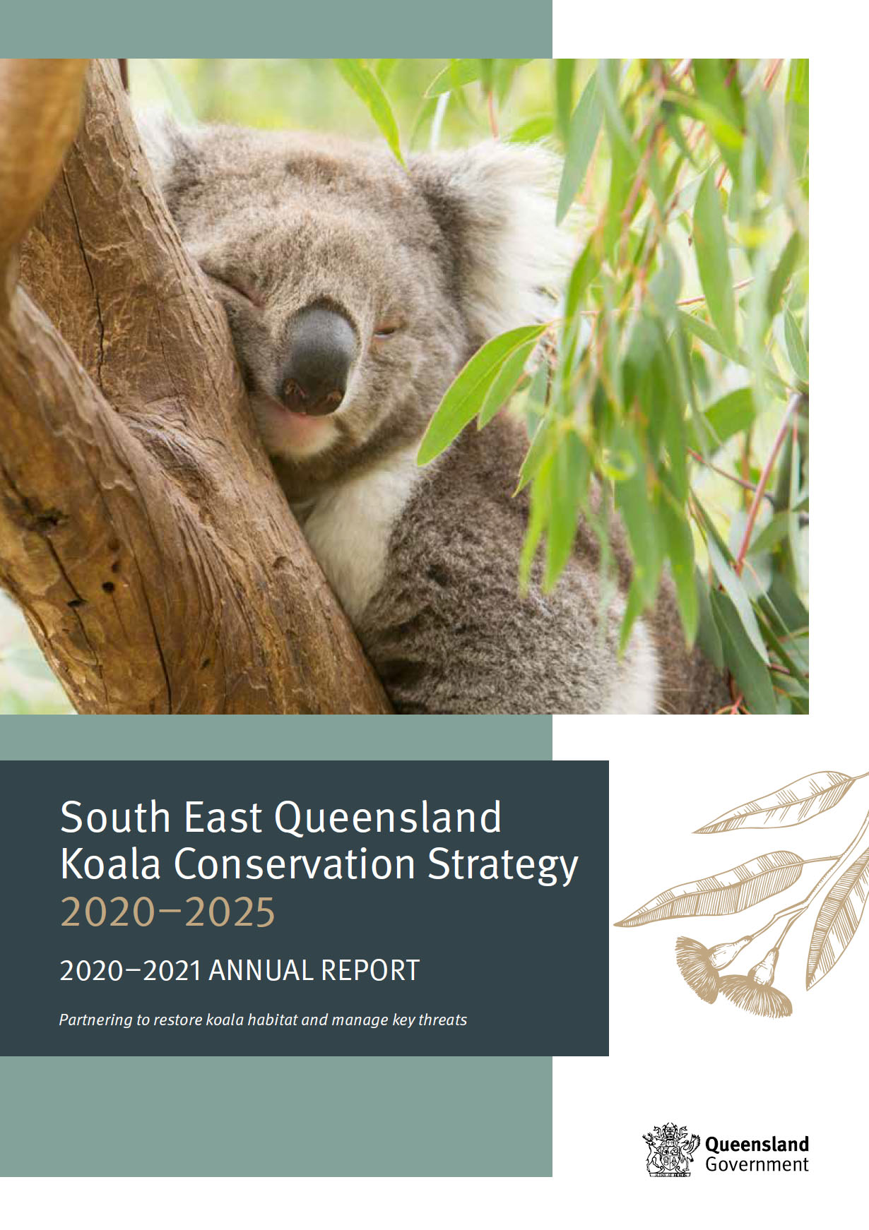 Report cover