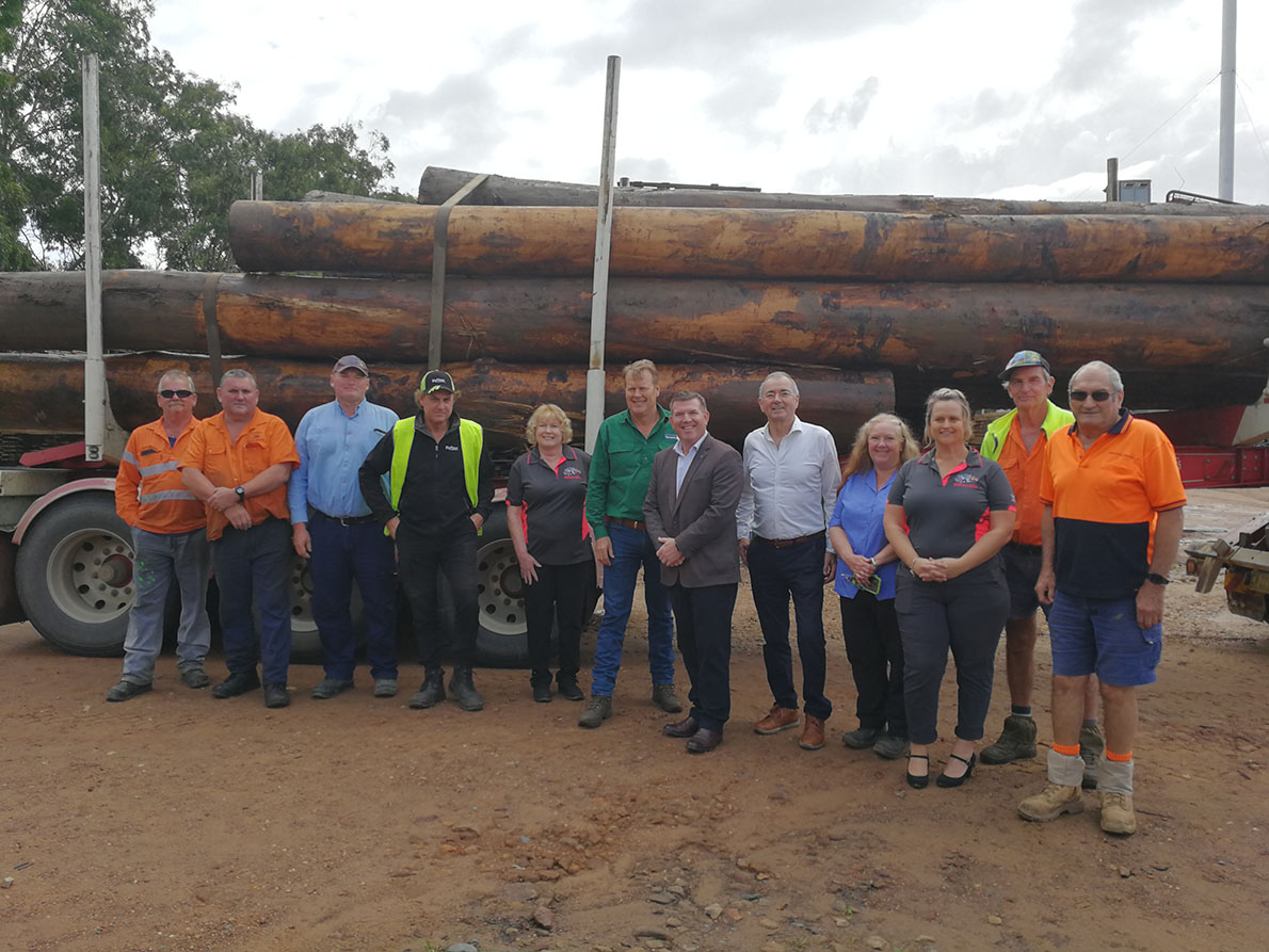 Timber subsidy announcement