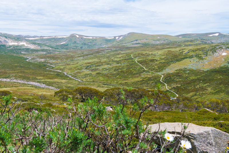 Kosciuszko National Park