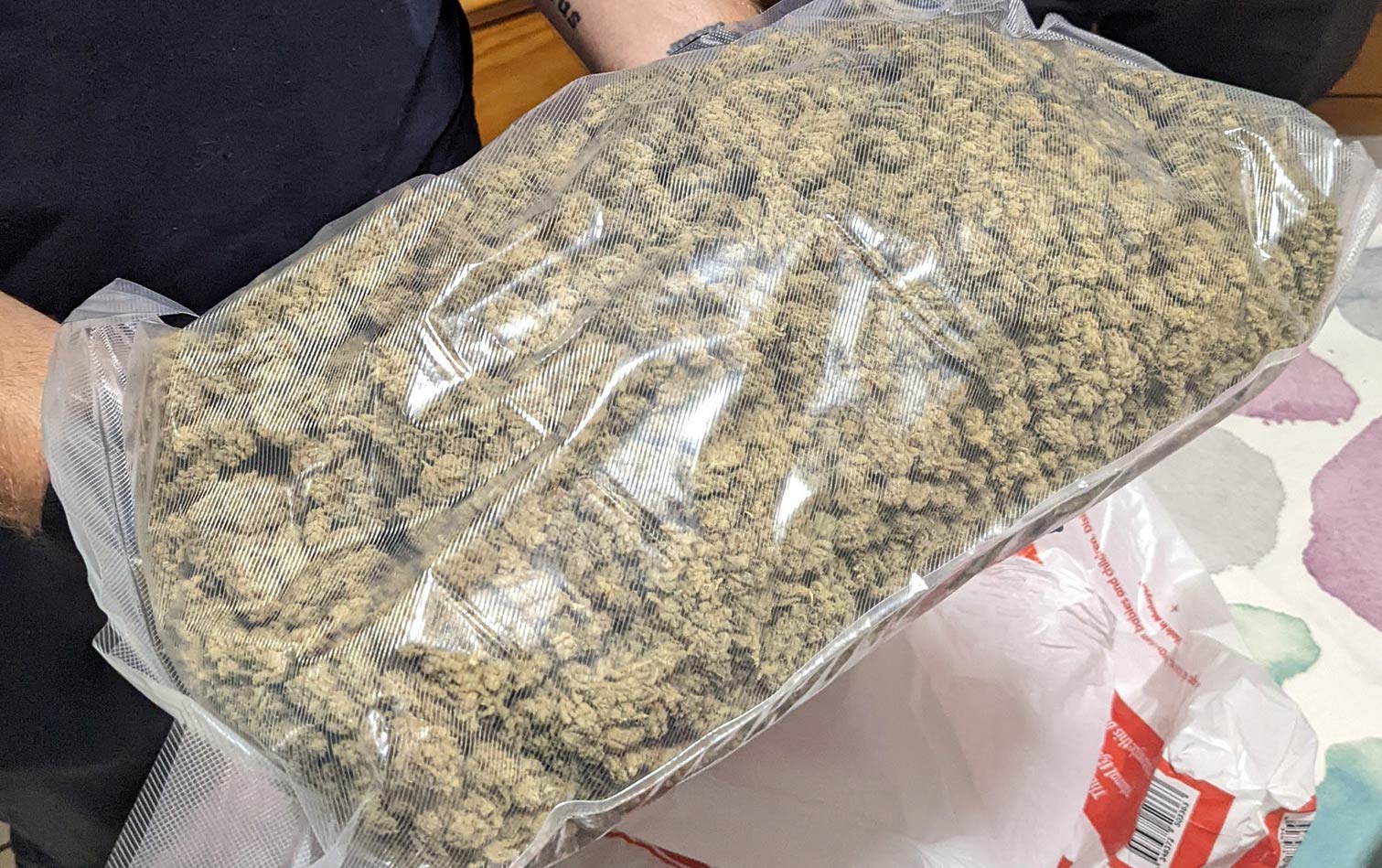 Budding criminals: Nine local residents in Tennant Creek are alleged to have formed an organised drug syndicate. Police seized more than 21 kilograms of cannabis.