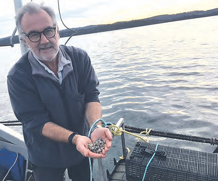 Jonathan Bilton works with oyster spat.