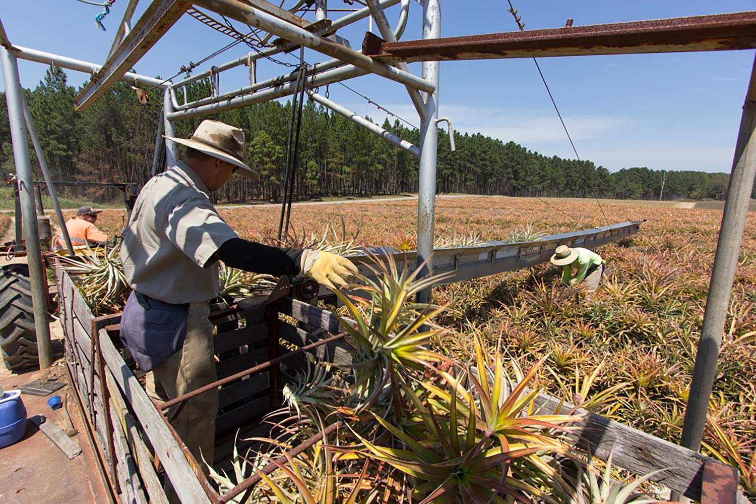 The biosphere designation has many potential benefits, particularly for our tourism and agriculture industries.