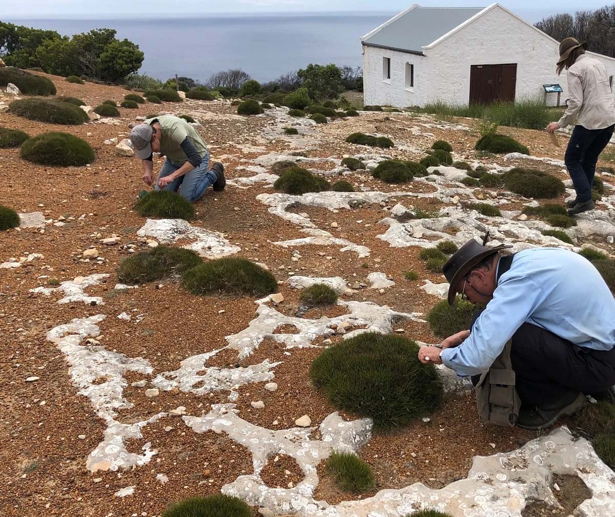 Collecting for the KI seed bank