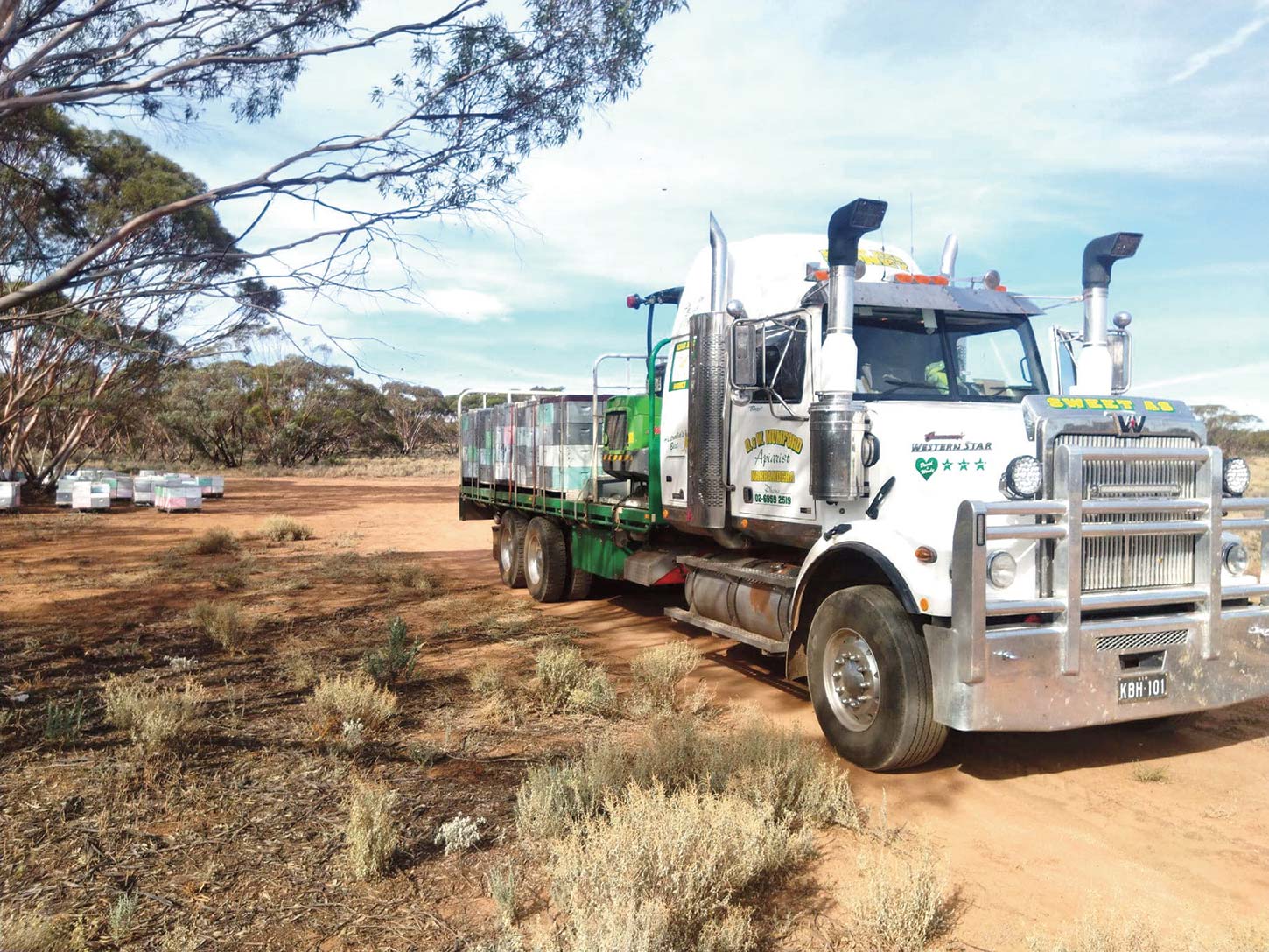 David Mumford usually moves a truckload of bees several times each year.
