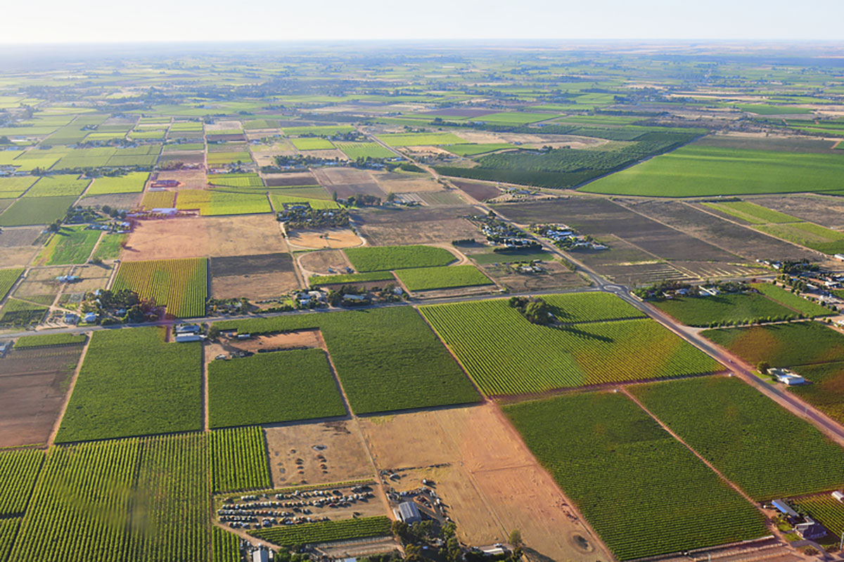 Australia, aerial view over agricultural landscape around Mildura