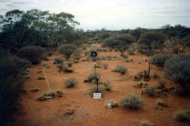 Site in 1989. Photo: Mark Cowan DBCA