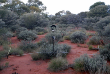 Site in 2007. Photo: Mark Cowan DBCA