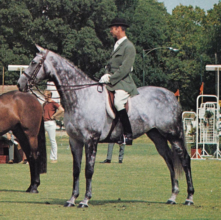 Malcolm Barns and Lure