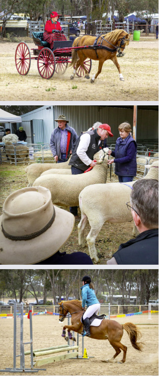 Maldon Show