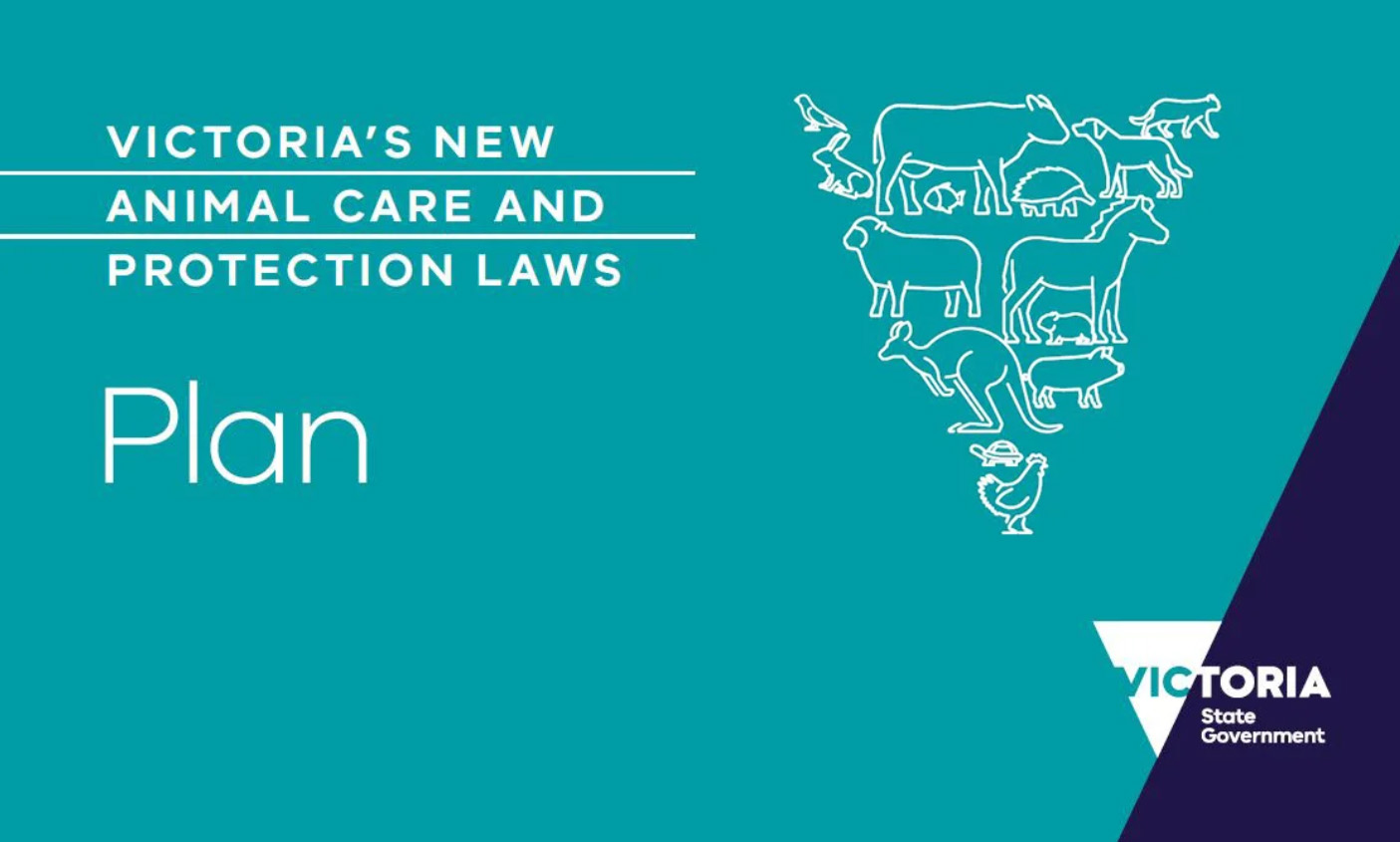 Vic Animal Care and Protection Laws Plan