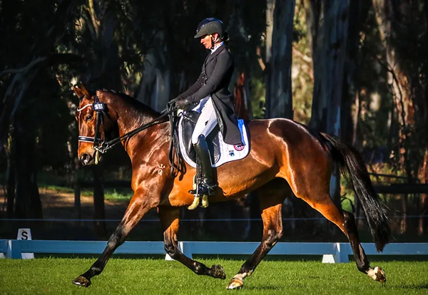 Samantha Cesnik and Graftango. Picture: PYT Equine Photography