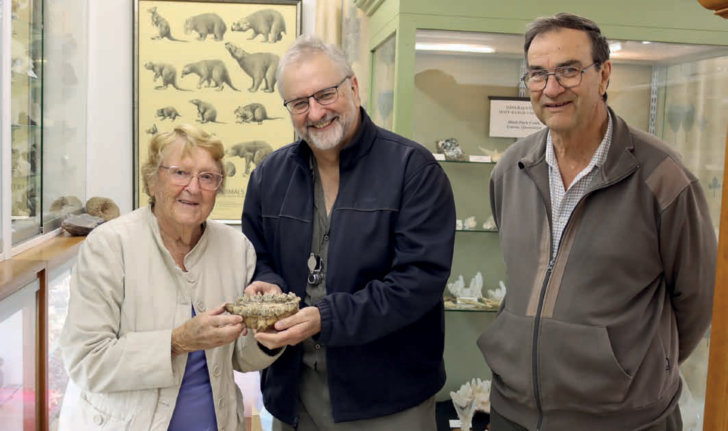 Dinosaur fossil found in Dalrymple Creek I Australian Rural & Regional News