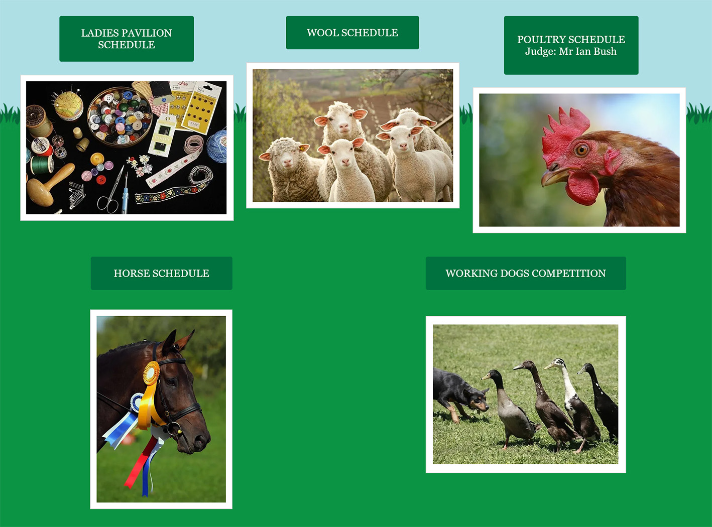 Alexandra Show schedules