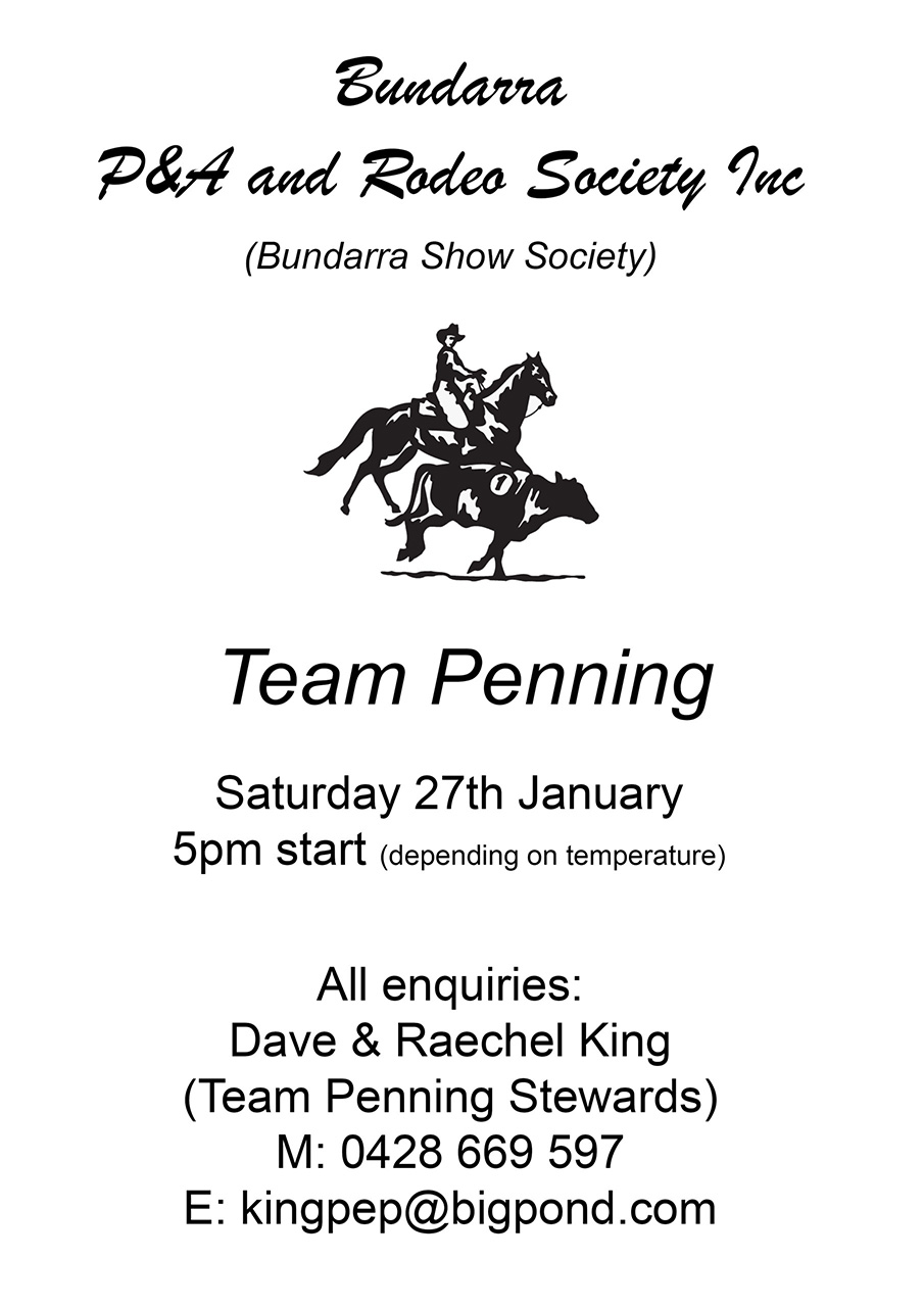 Team penning