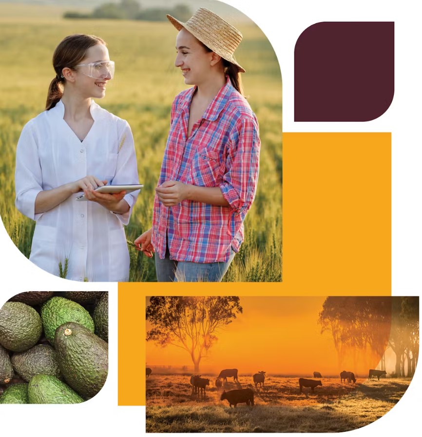 Have your say - rules and regulation for levies legislation: DAFF I ...