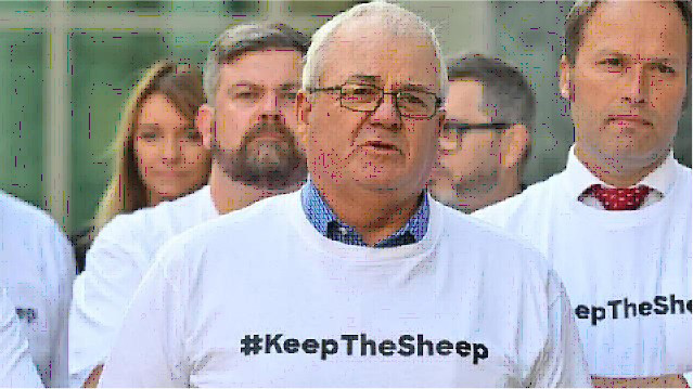 Keep the Sheep