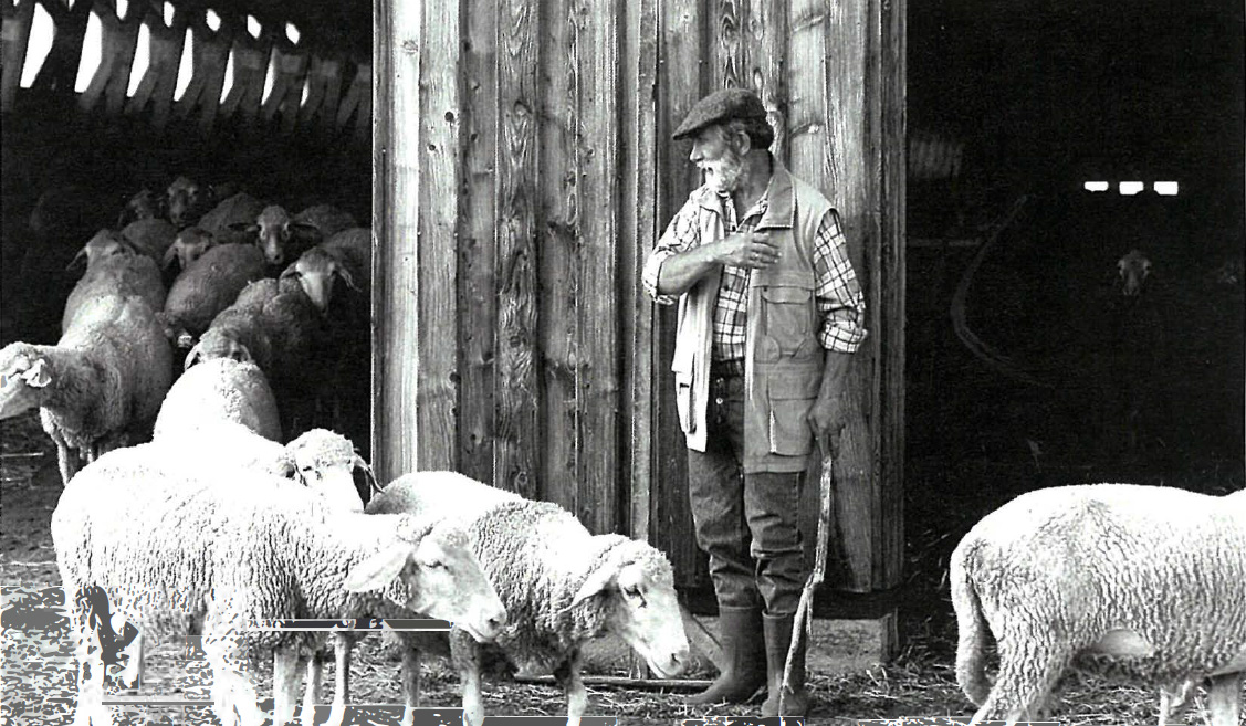 Sheep farmer