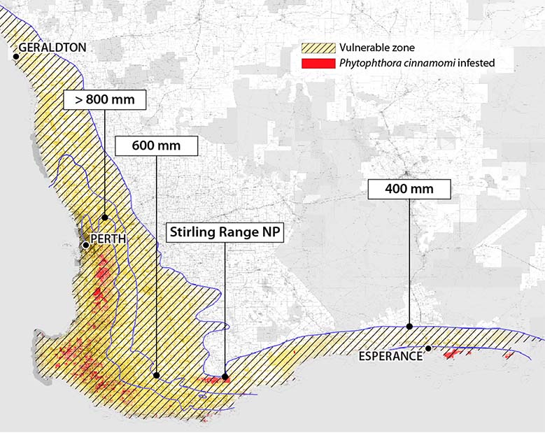 Map of infested areas