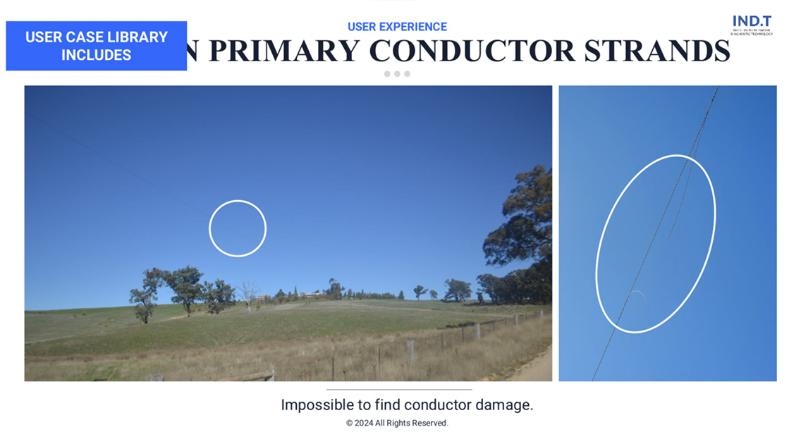 IND.T power line fault