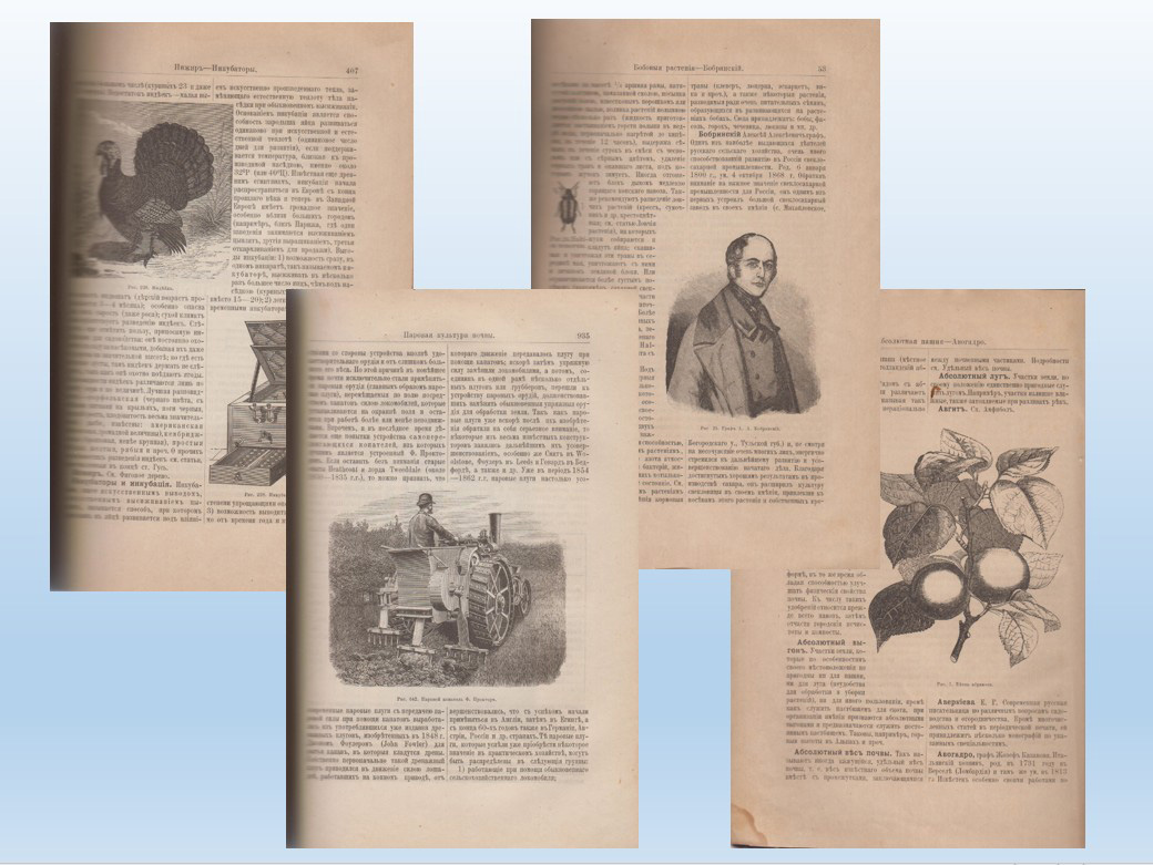 Display in Ukraine library