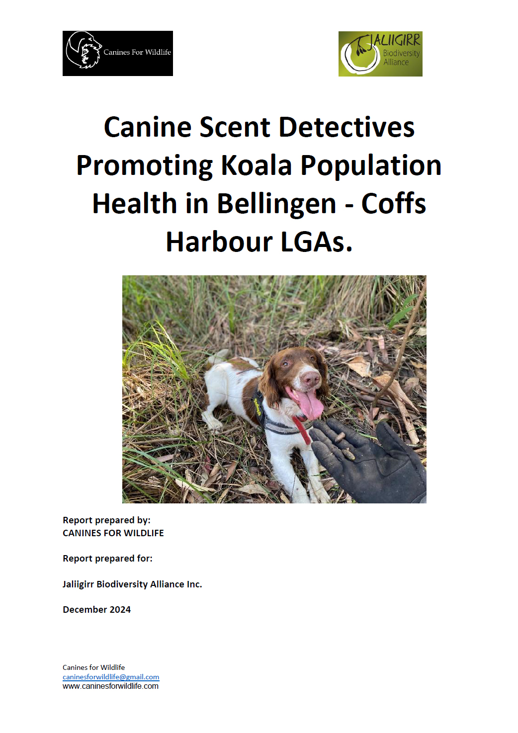Report cover