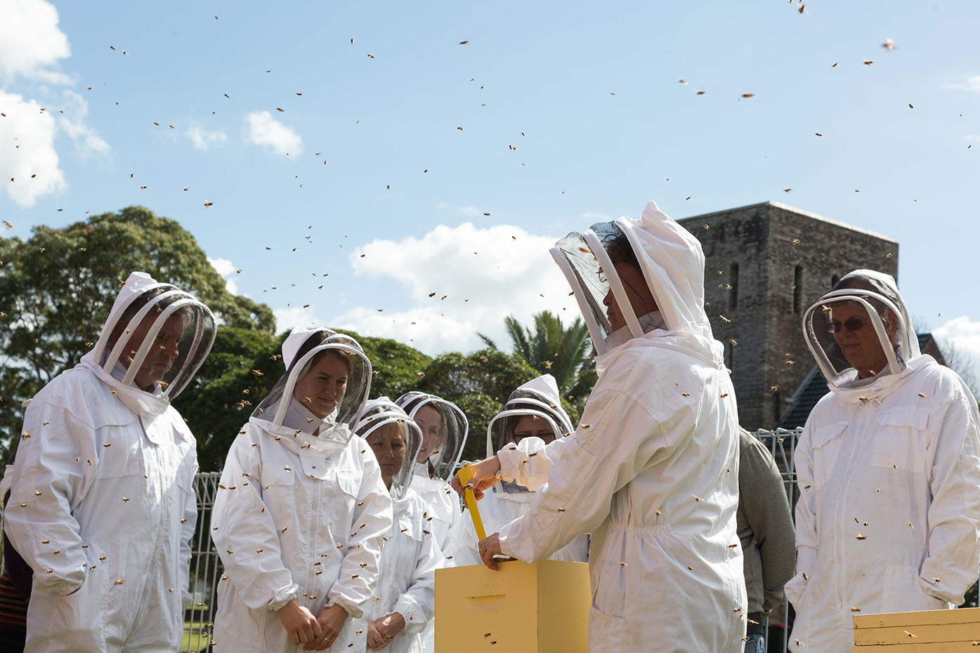 Kelly Lees beekeeping