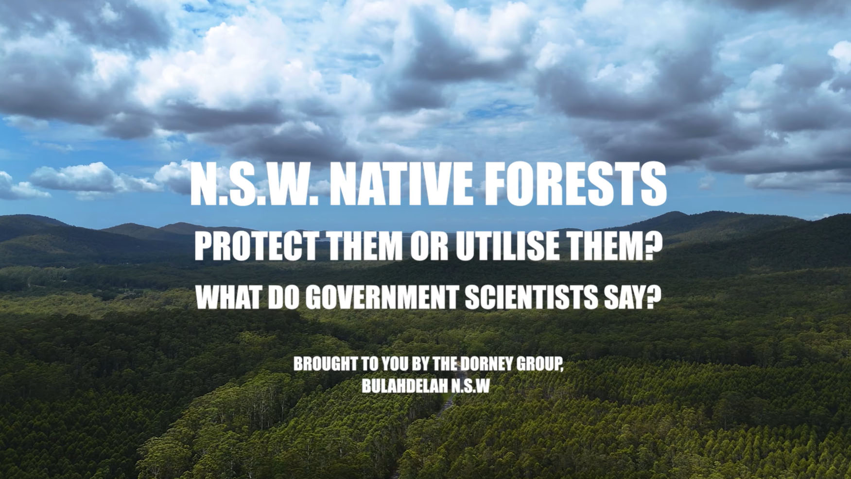 NSW Native Forests Protect them or lose them cover shot