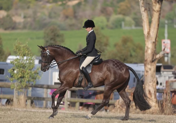 Jessica Dertell riding Cherie and Zali Mills’ Royal Diamond Jubilee