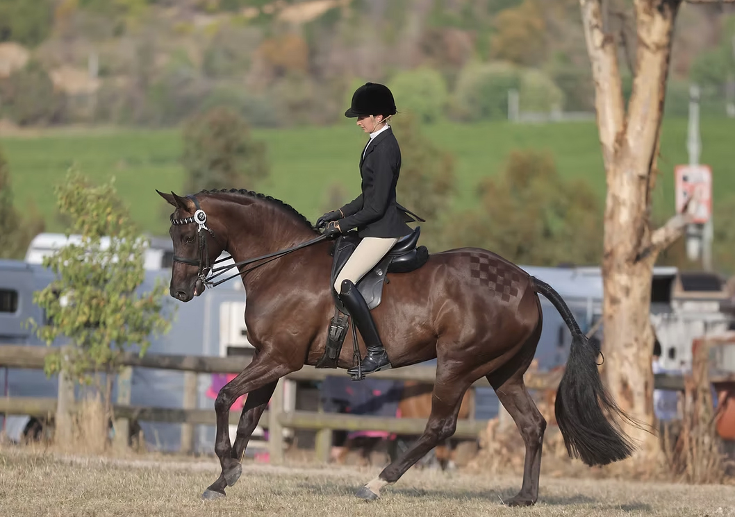 Jessica Dertell riding Cherie and Zali Mills’ Royal Diamond Jubilee